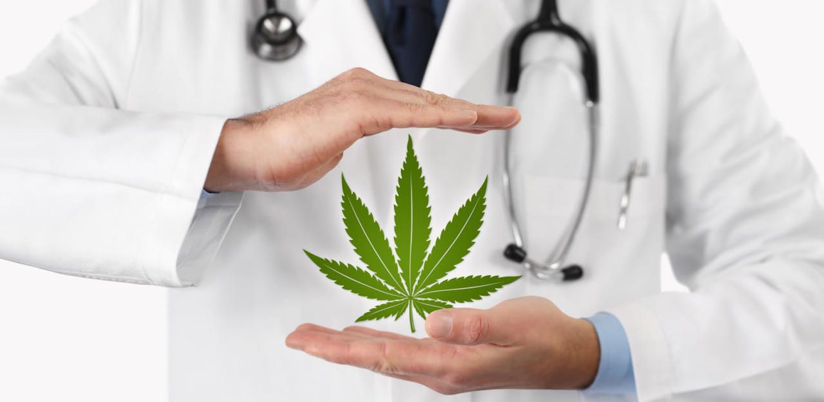 Cannabis hat mehr als 500 Wirkstoffe, sagen Mediziner.