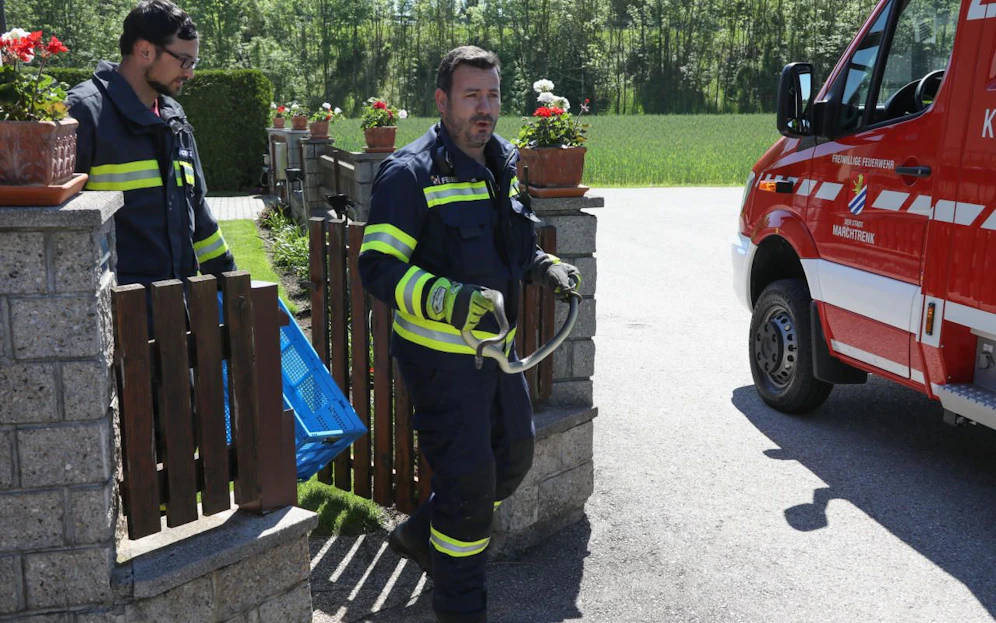 Feuerwehrmänner mit der ungiftigen Schlange