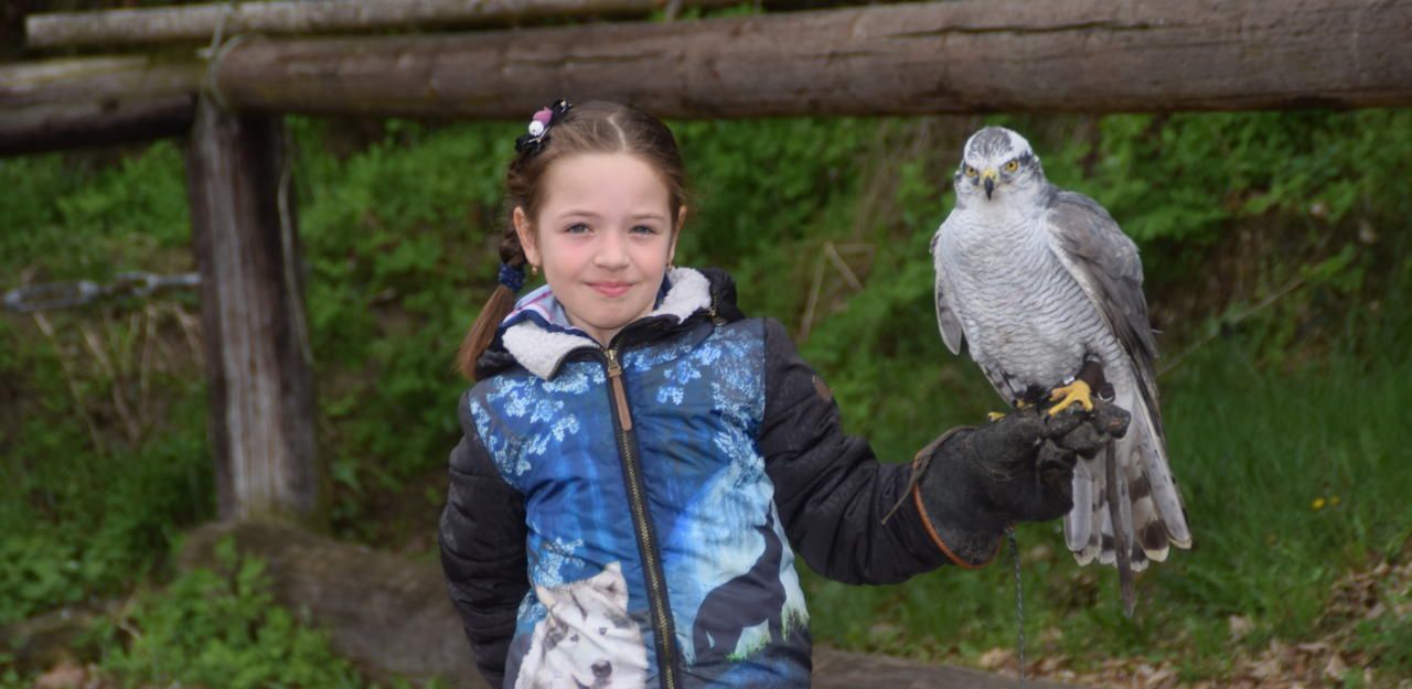 Heute.at - Jüngste Falknerin Sofia hat jetzt Baby-Greifvogel
