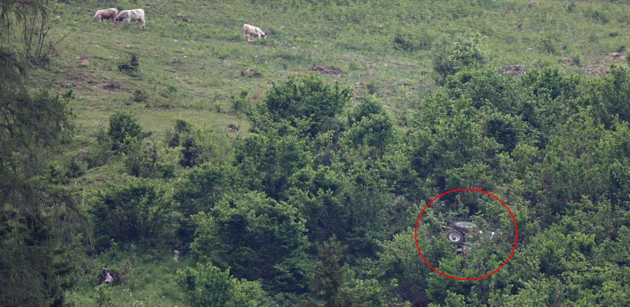 Heute.at - Sture Kühe retten verunfallten Landwirt