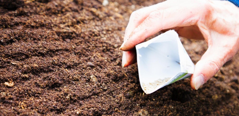 Der Verein ist auf Pflanzenvielfalt spezialisiert. 