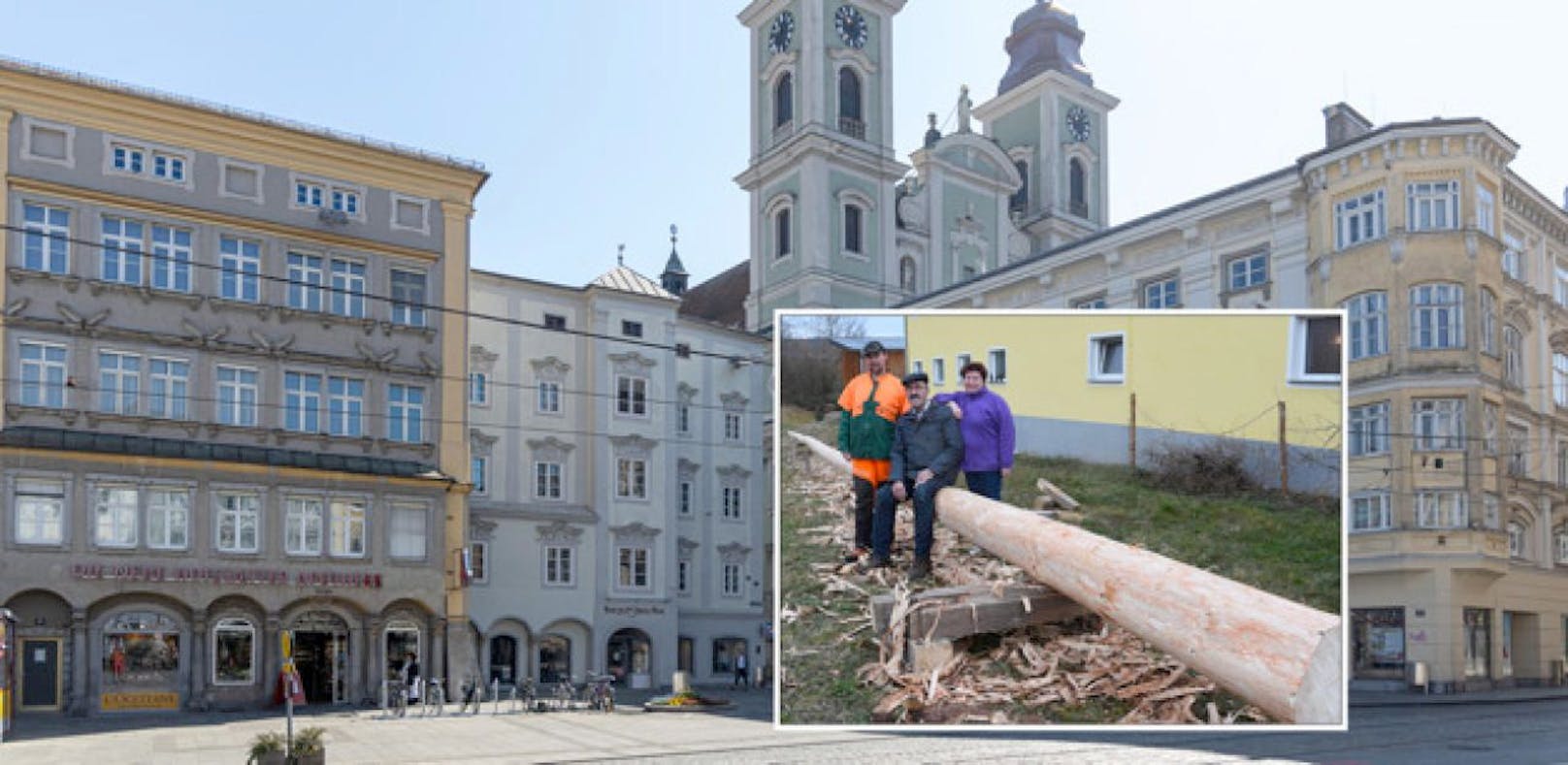 Heuer kein Maibaum in Linz: Das wäre er gewesen