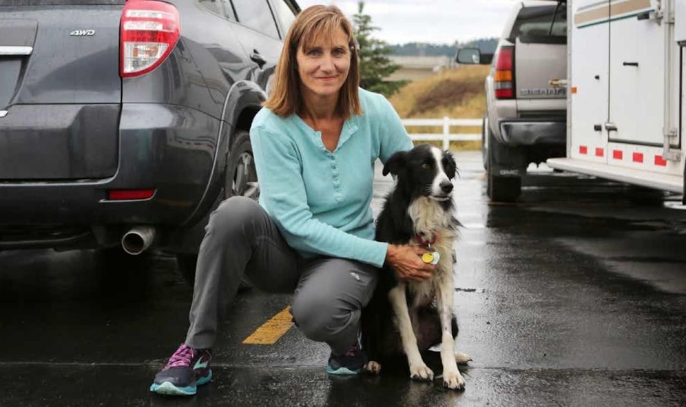 Carol fand Border Collie Katie (7) nach 57 Tagen. 