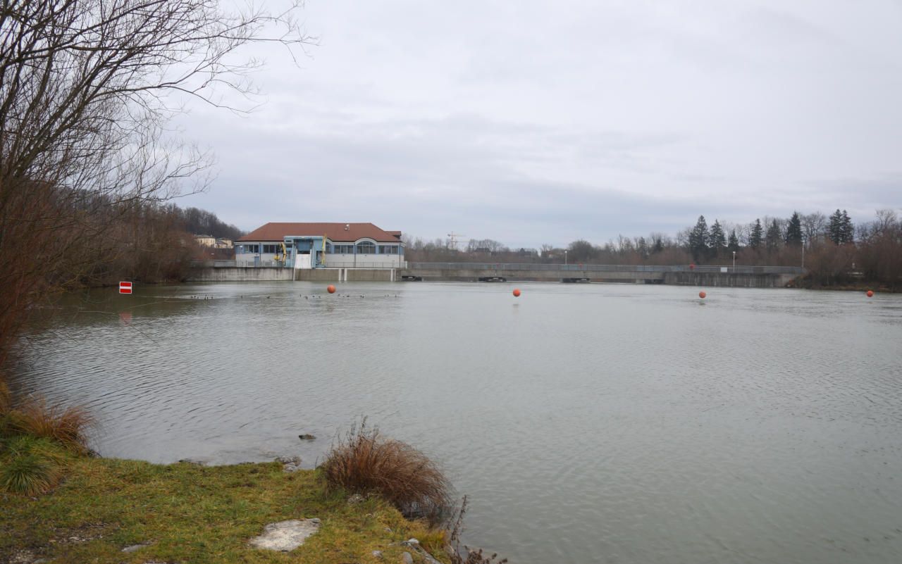 Heute.at - Leiche in Traun entdeckt: Kein Fremdverschulden