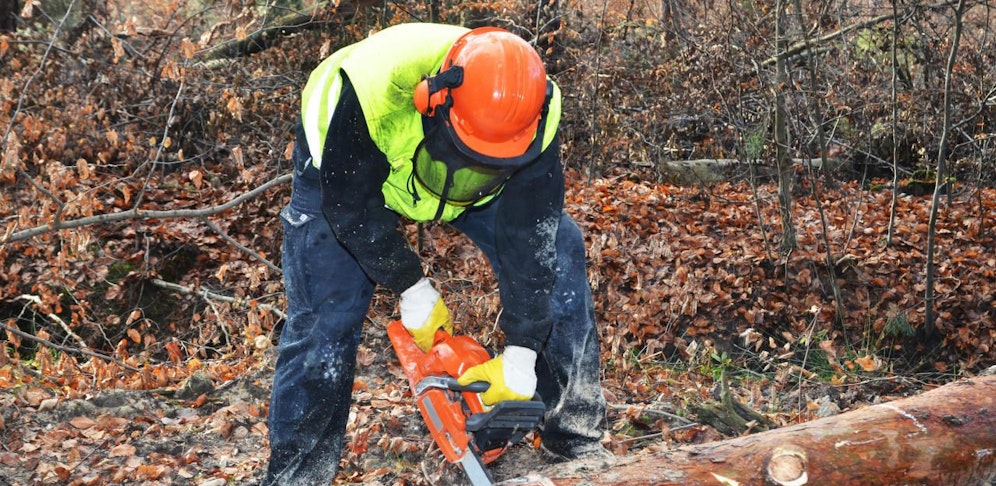 Forstarbeiter (Symbolbild)