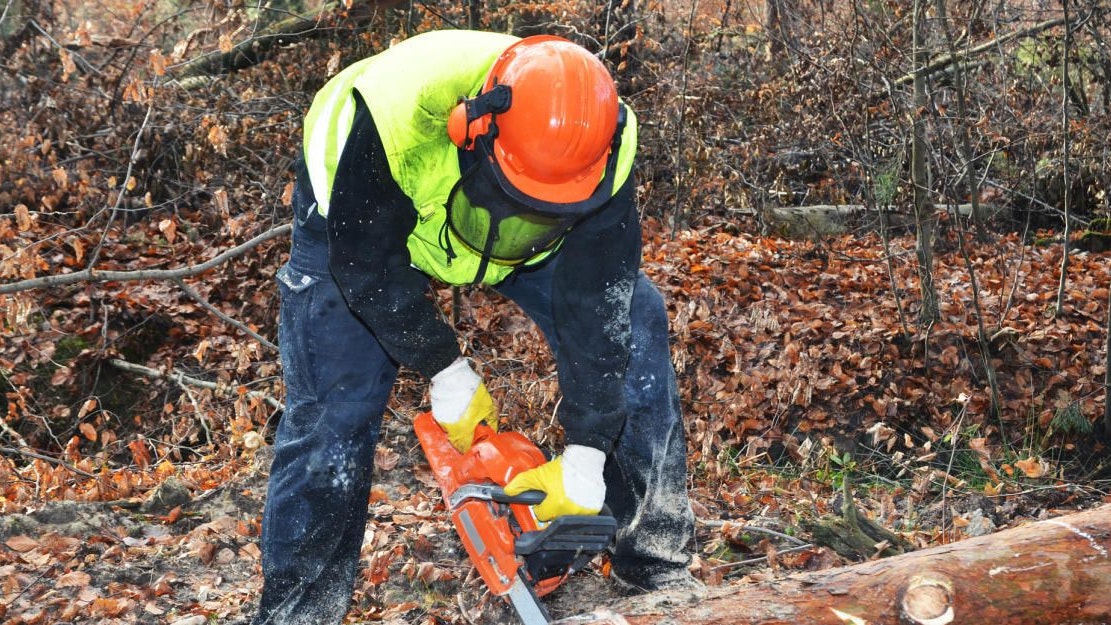 Heute.at - Ehefrau findet toten Familienvater in Wald
