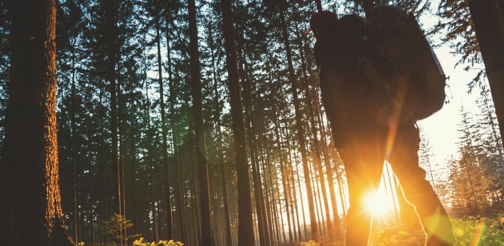Der 65-Jährige brach bei einer Wanderung zusammen