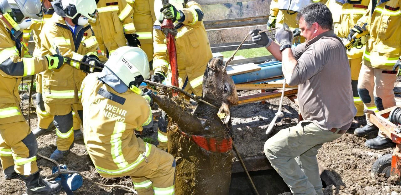 Heute.at - Feuerwehr steht bis zum Hals in Gülle, um Leben zu r...