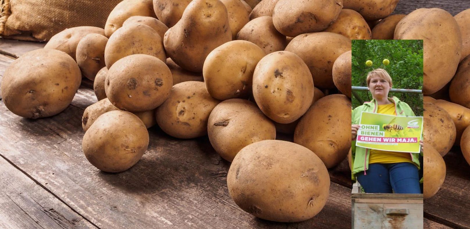 Helga Krismer warnt vor MOCAP15 - Pflanzenschutz für Kartoffel.