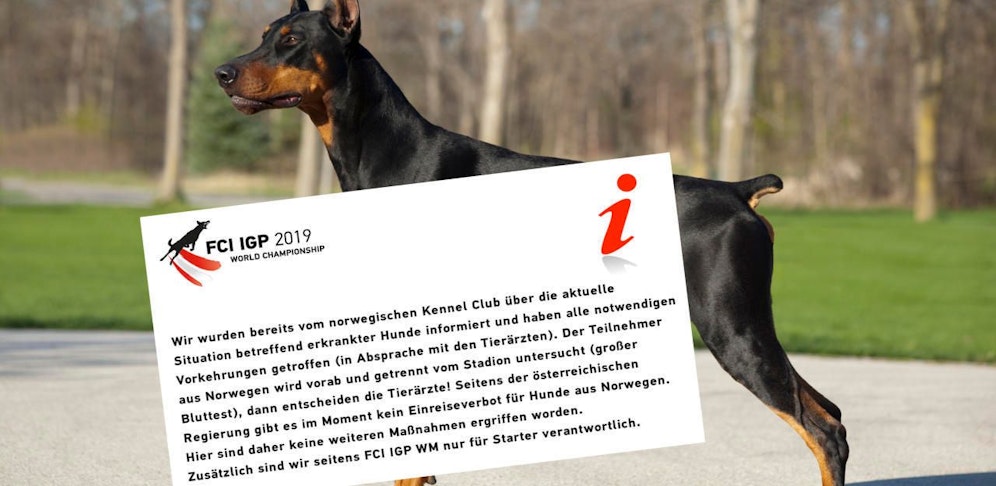 Der Veranstalter informierte umfangreich vorab auf Facebook; Dobermann ist bereits eine Woche in Österreich.