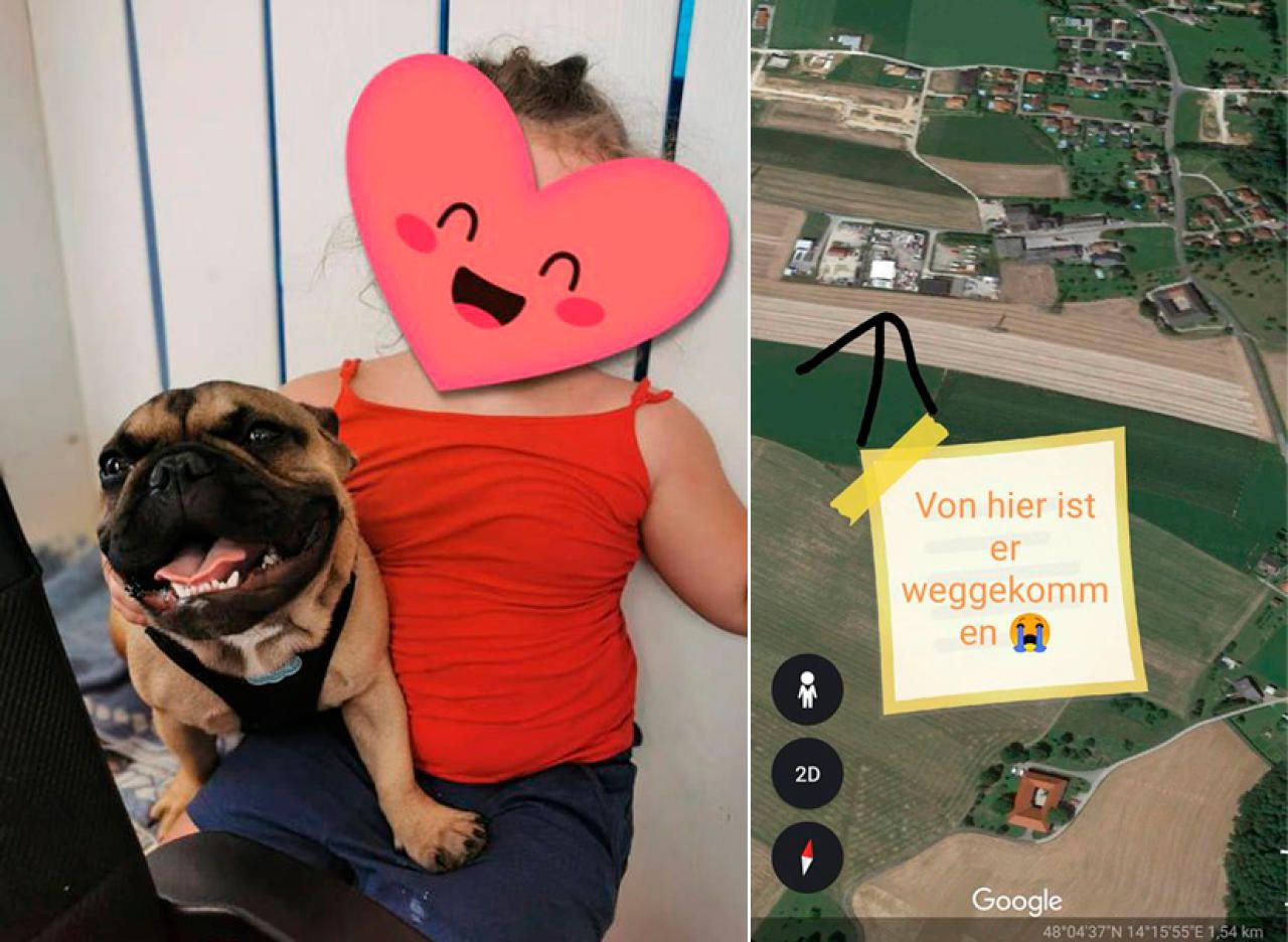 Heute.at - Familie sucht verzweifelt nach vermisstem Hund