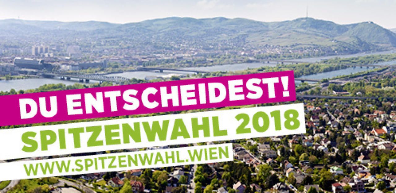 Heute.at - Grüne lassen alle über neue Spitze abstimmen