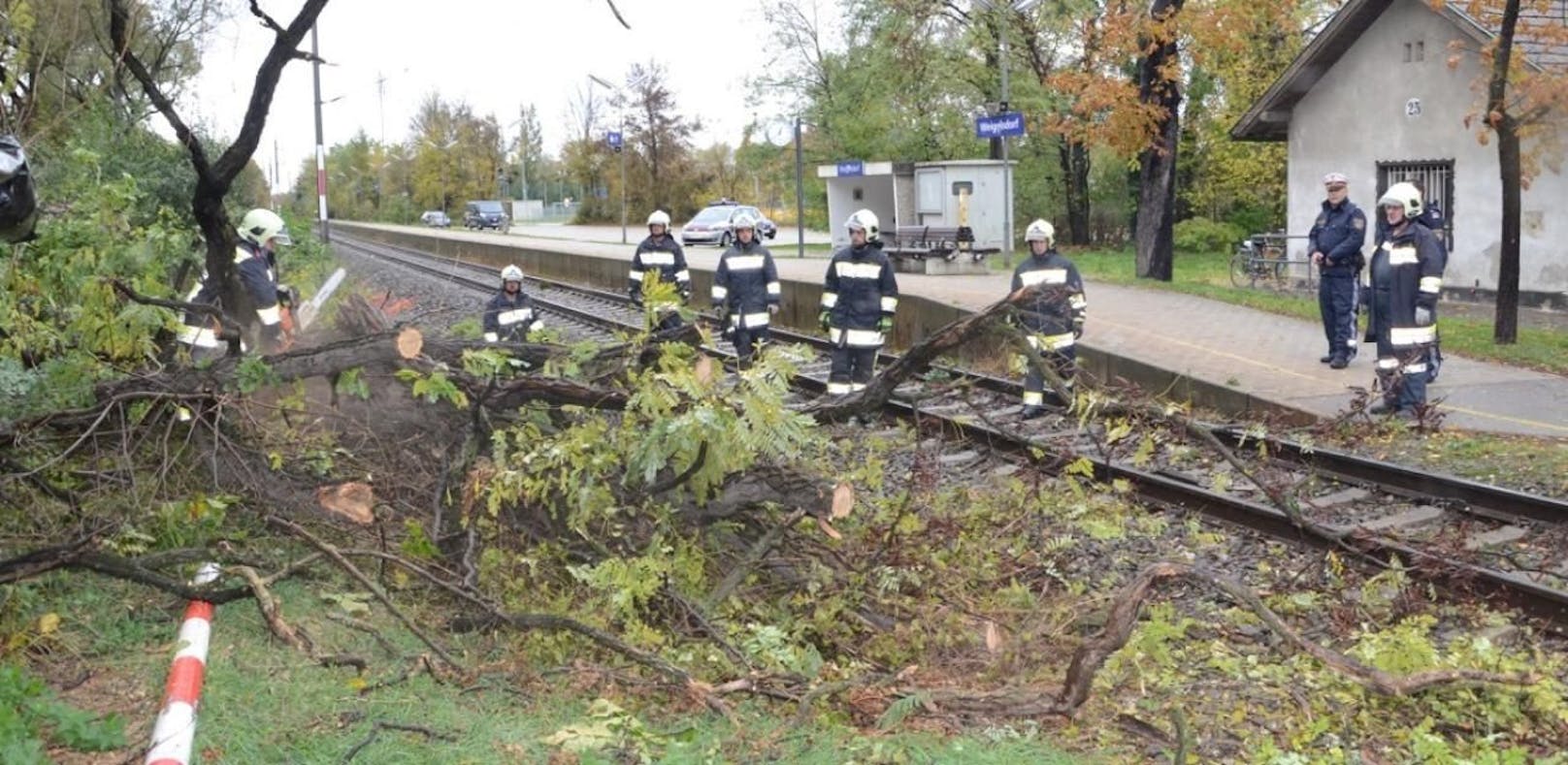 Heftiger Sturm: Baum fällt auf Gleise - Züge gestoppt