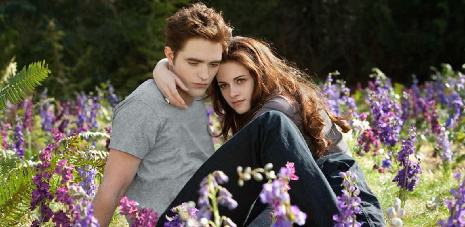 Breaking Dawn - Bis(s) zum Ende der Nacht