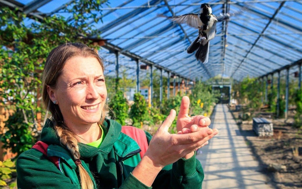 In den Blumengärten HIrschstetten eröffnet das größte Vogelhaus des Landes. 