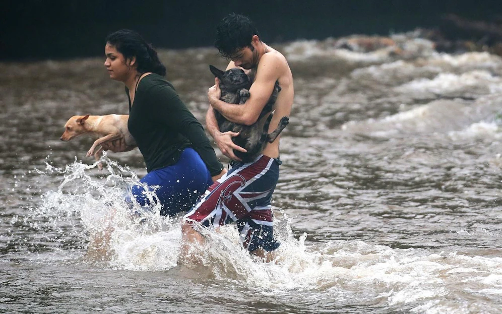 Die Bevölkerung von Hawaii bereitet sich auf den kommenden Sturm vor.
