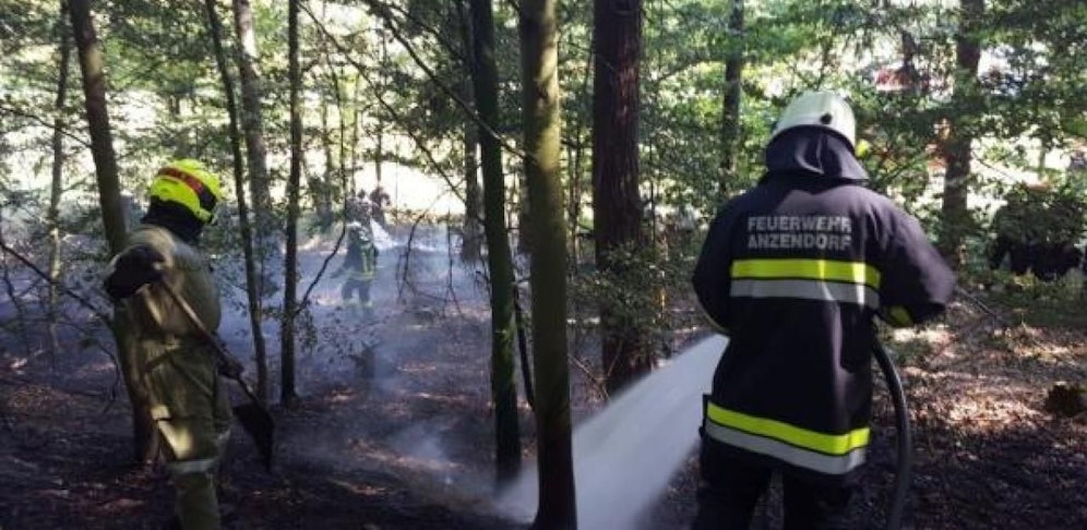 Waldbrand im August 2018 bei Loosdorf: Zahlreiche Silberhelme mussten brennendes Waldstück löschen.