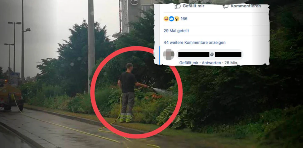 Dieses Foto von der Pflanzenbewässerung im Regen sorgt derzeit für viel Diskussionen im Netz. 