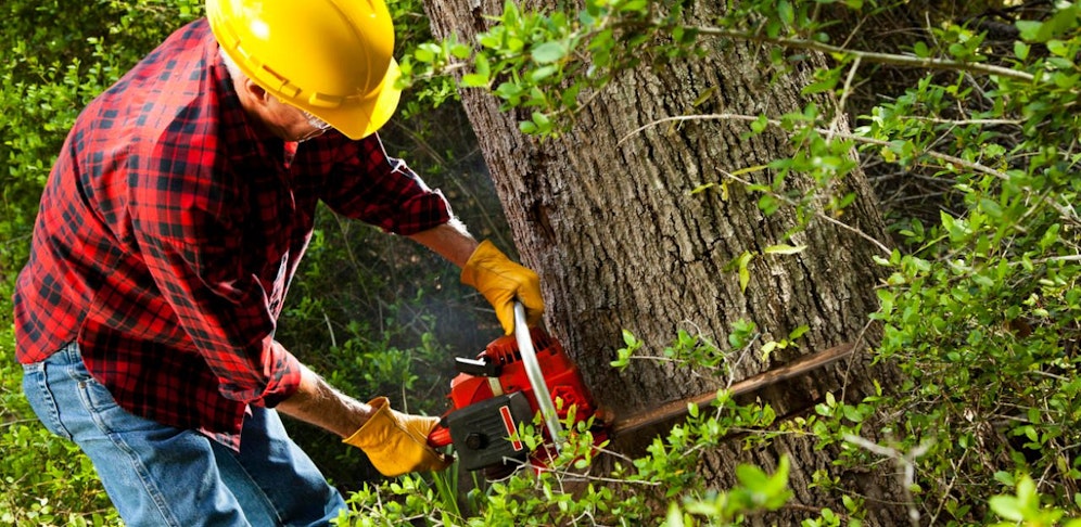 Der Mann war gerade mit Forstarbeiten beschäftigt, als das Unglück passierte