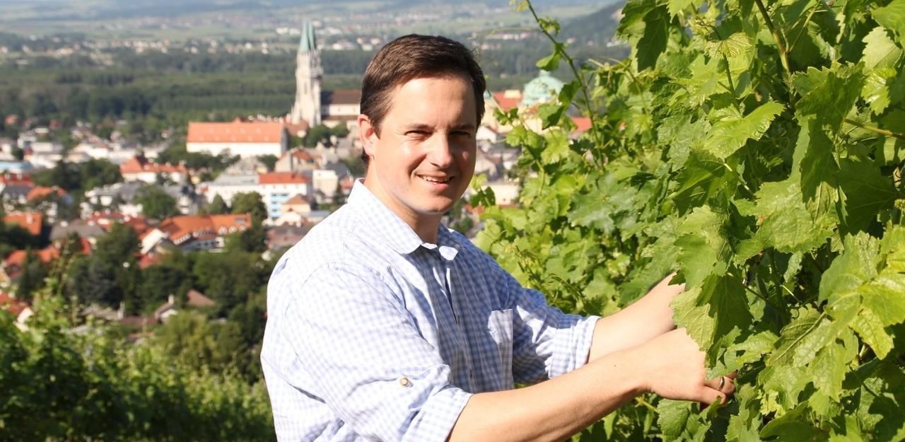 Heute.at - Weinbau-Chef: Lieber beraten anstatt strafen
