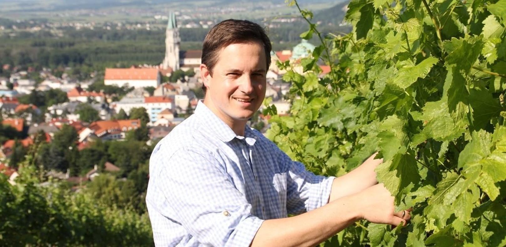 Weinbau-Chef: "Lieber beraten anstatt strafen"
