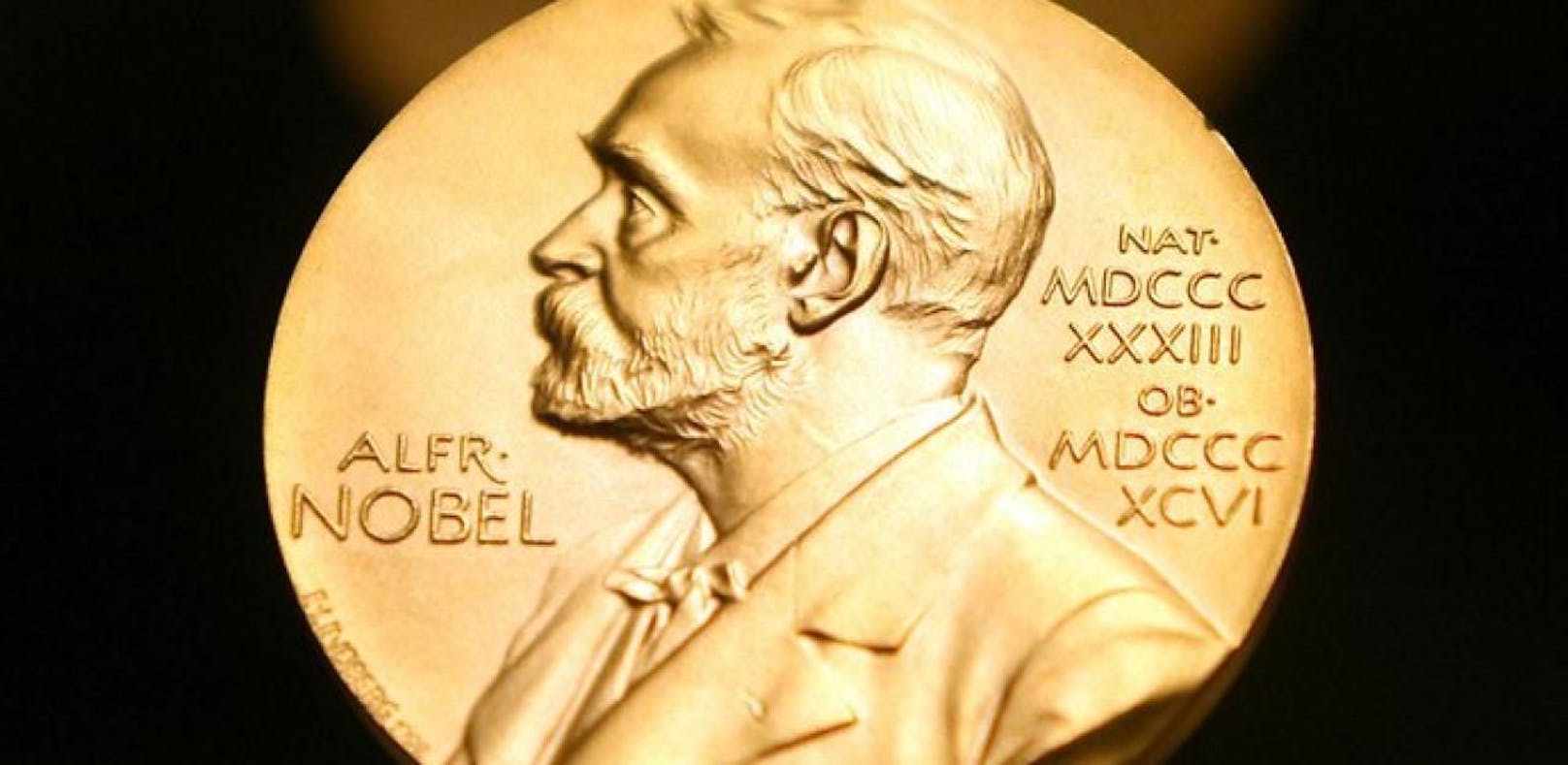 Friedensnobelpreis geht an Wiener Anti-Atom-Aktion