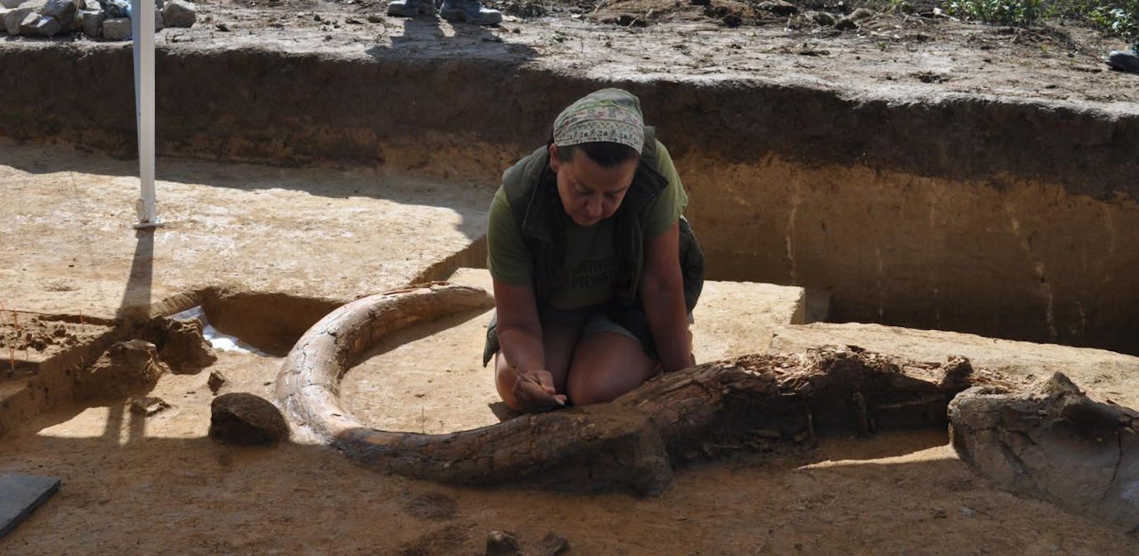 Steinzeit-Schlachtplatz in A5-Baustelle entdeckt