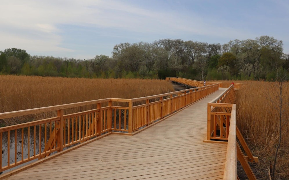 Der Josefsteg in der Lobau wurde über den Winter völlig erneuert und steht Erholungssuchenden nun zur Verfügung.