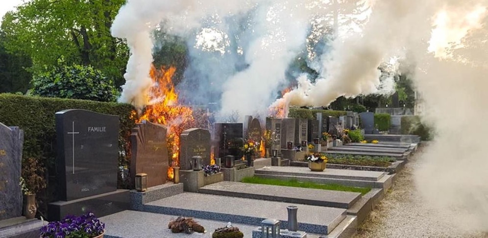 Die Hecke stand in Flammen.