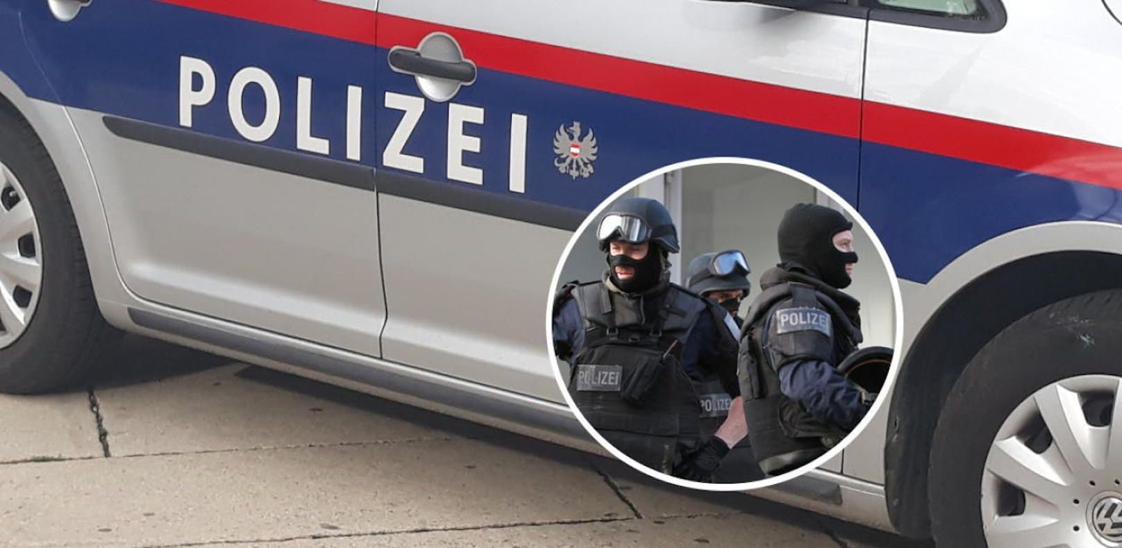 Wiener festgenommen, weil sich Schuss löste