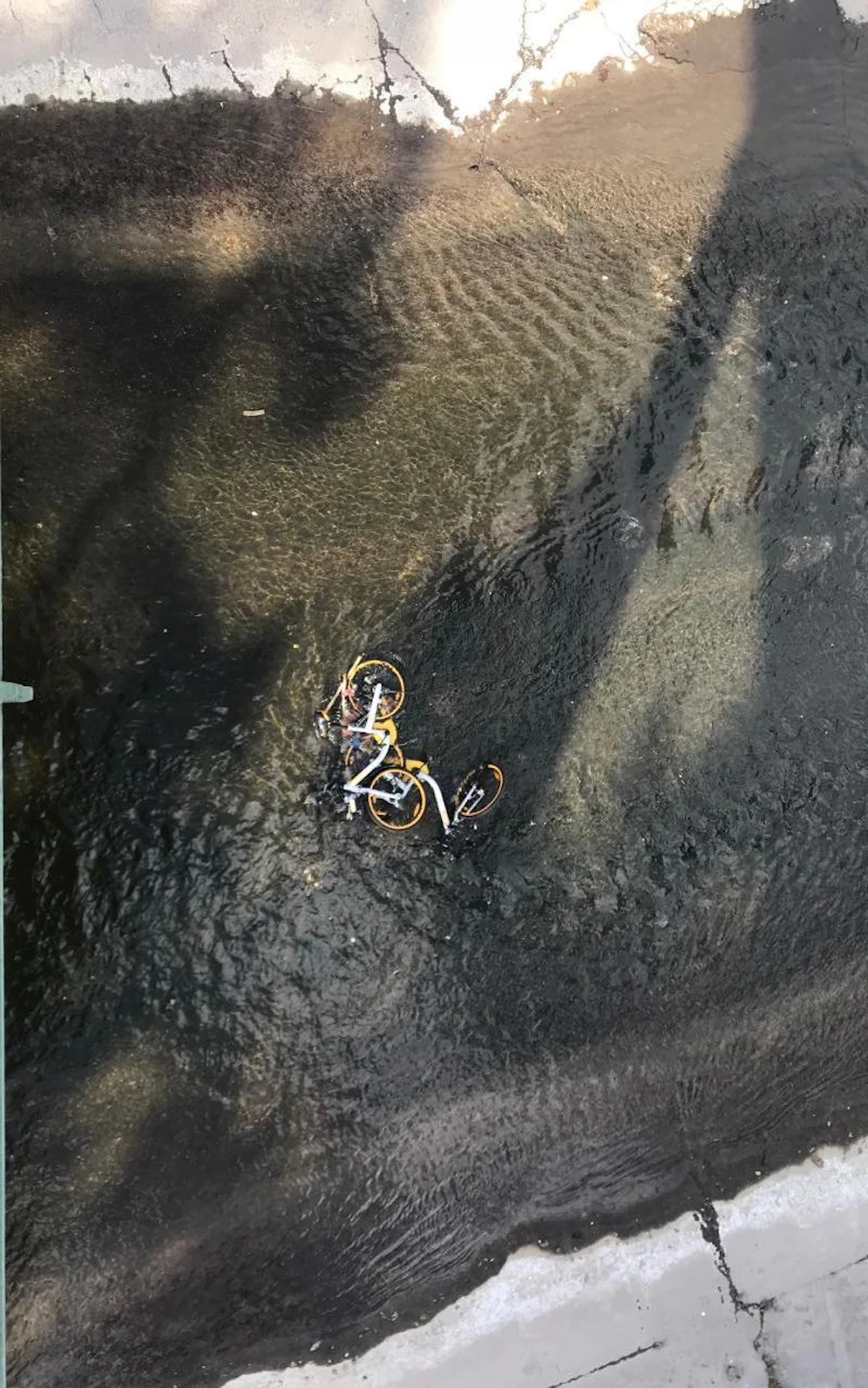 Schon wieder sind zwei Leihräder im Wienfluß Höhe Stadtpark gelandet.