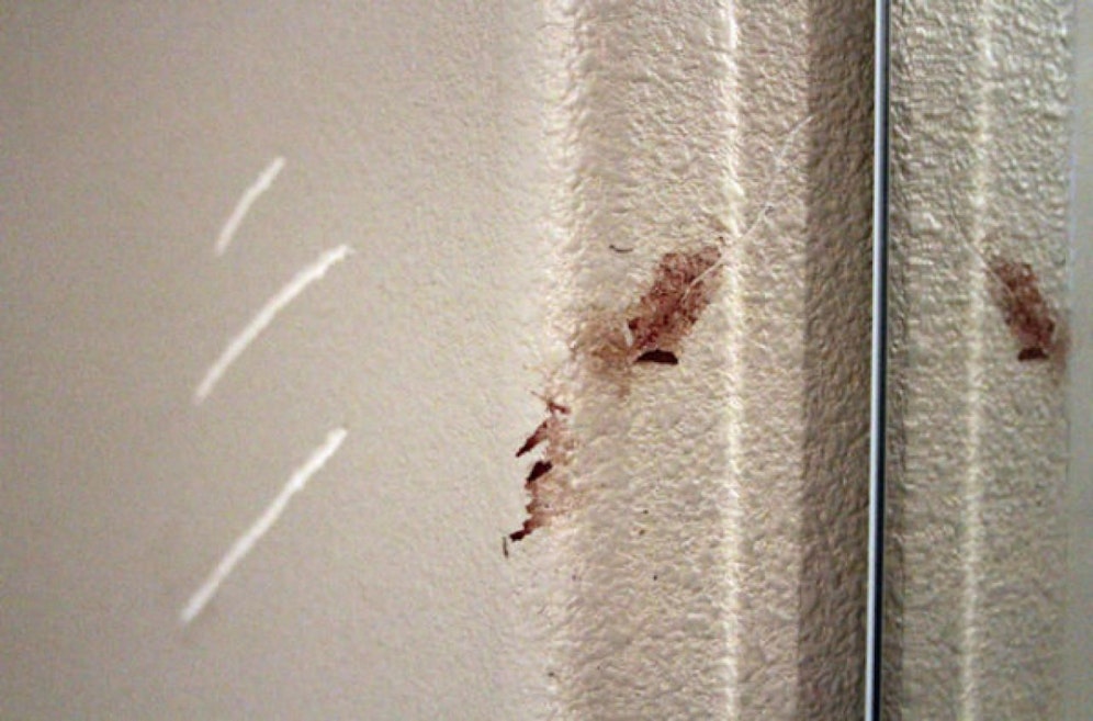 Krallen- und Blutspuren: Ein Foto des Zimmers des elfjährigen Zach Landis in Anchorage, Alaska. (30. Juni 2017)