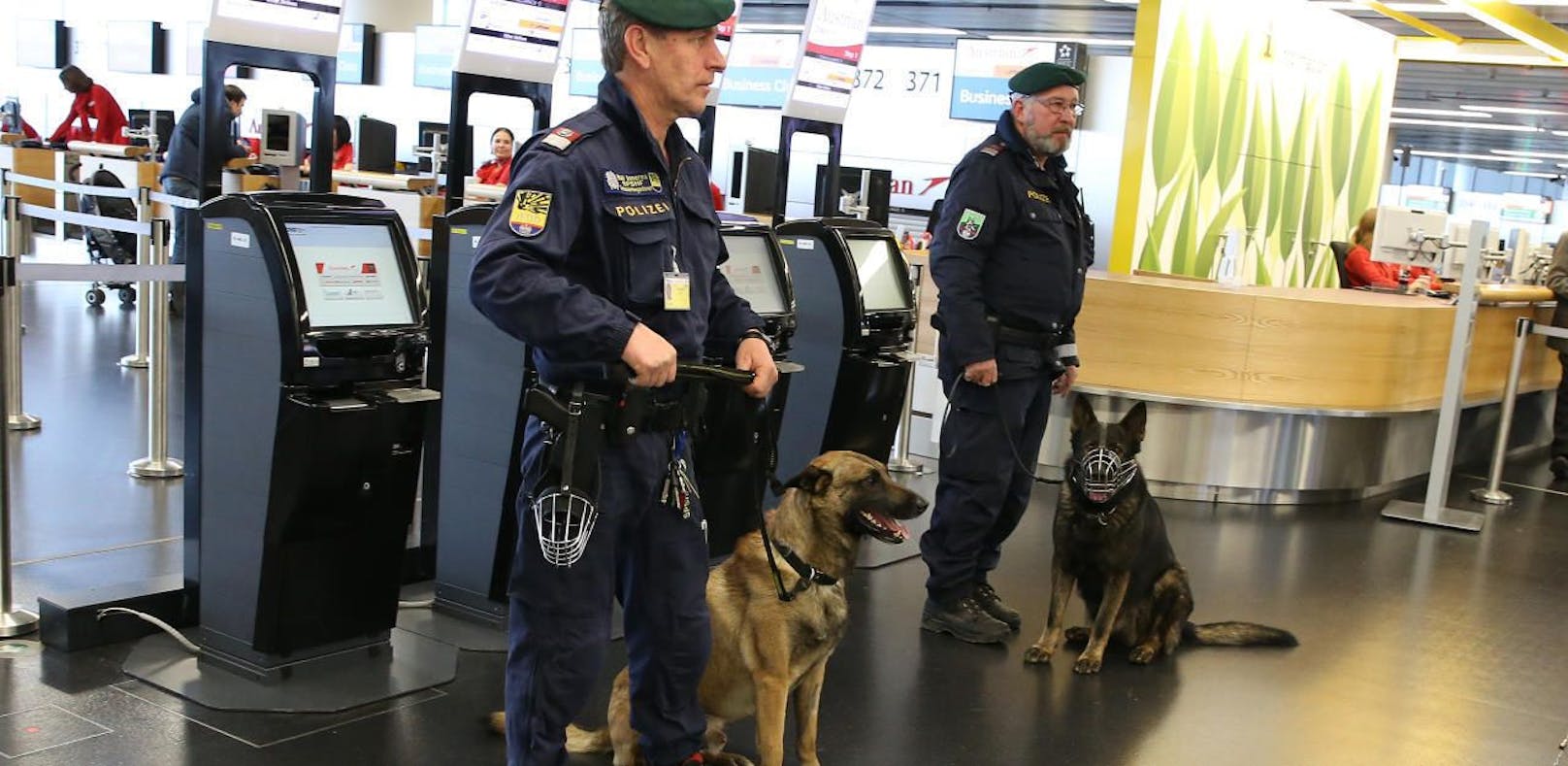 Der Vorfall ereignete sich am Flughafen Wien-Schwechat (Bild: Flughafen Wien)