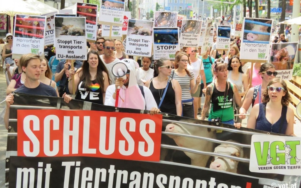 Die Demonstranten setzten ein deutliches Zeichen gegen Tiertransporte