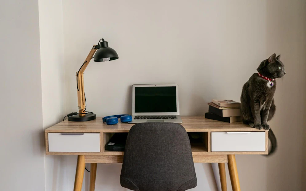 Ihr braucht dringend Abwechslung im Homeoffice? Kein Problem!