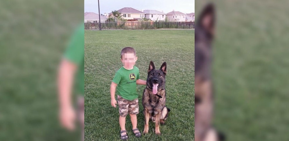 Irgo hätte nach Kansas sollen, landete stattdessen in Japan.