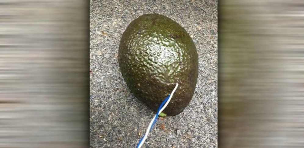 Diese Avocado sorgte für einen Notruf.