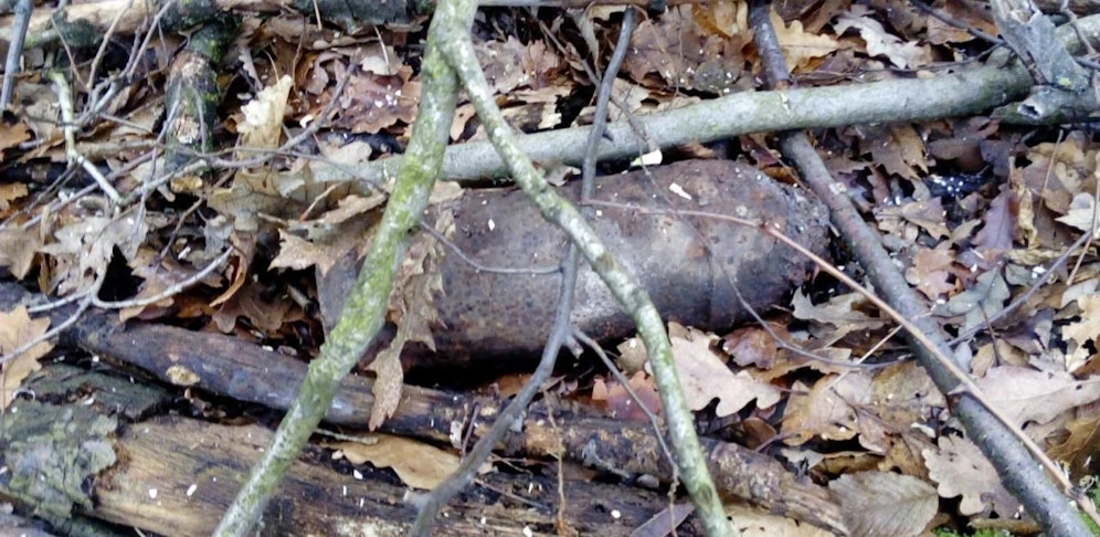 Die Granate wurde im Wald des Leithagebirges entdeckt