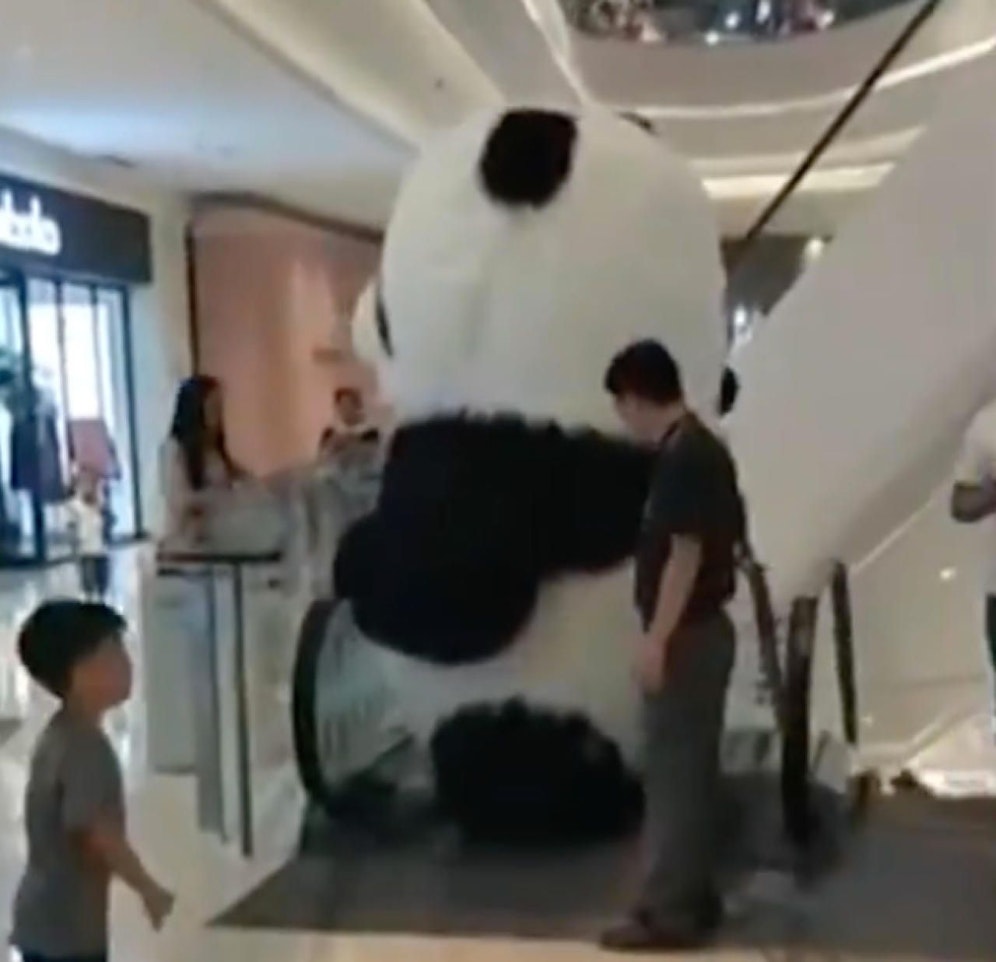 Sooo peinlich: Das dicke Panda-Maskottchen kann auch nur seitlich Rolltreppe fahren. Und die Kunden lachen auch noch!