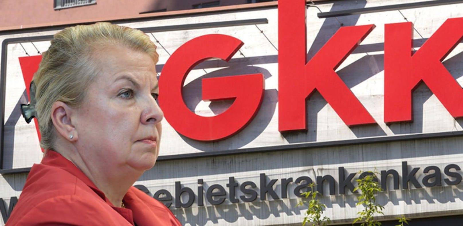 Gesundheitsministerin Beate Hartinger-Klein (FPÖ) ist federführend bei dem Megaprojekt.