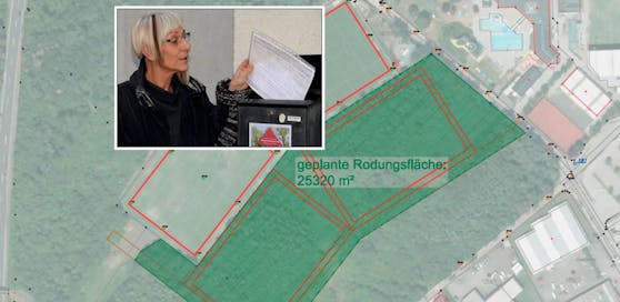 Ruth Kropshofer kämpft mit der Initiative "Waldschutz Pasching" für den Erhalt des Waldes.