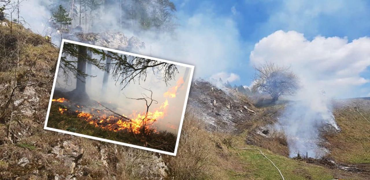 Heute.at - 80 Feuerwehrleute bei Waldbrand im Einsatz