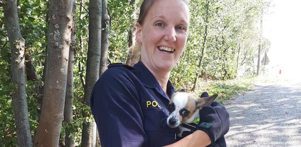 Die Polizeibeamten fingen den kleinen Ausreißer ein.