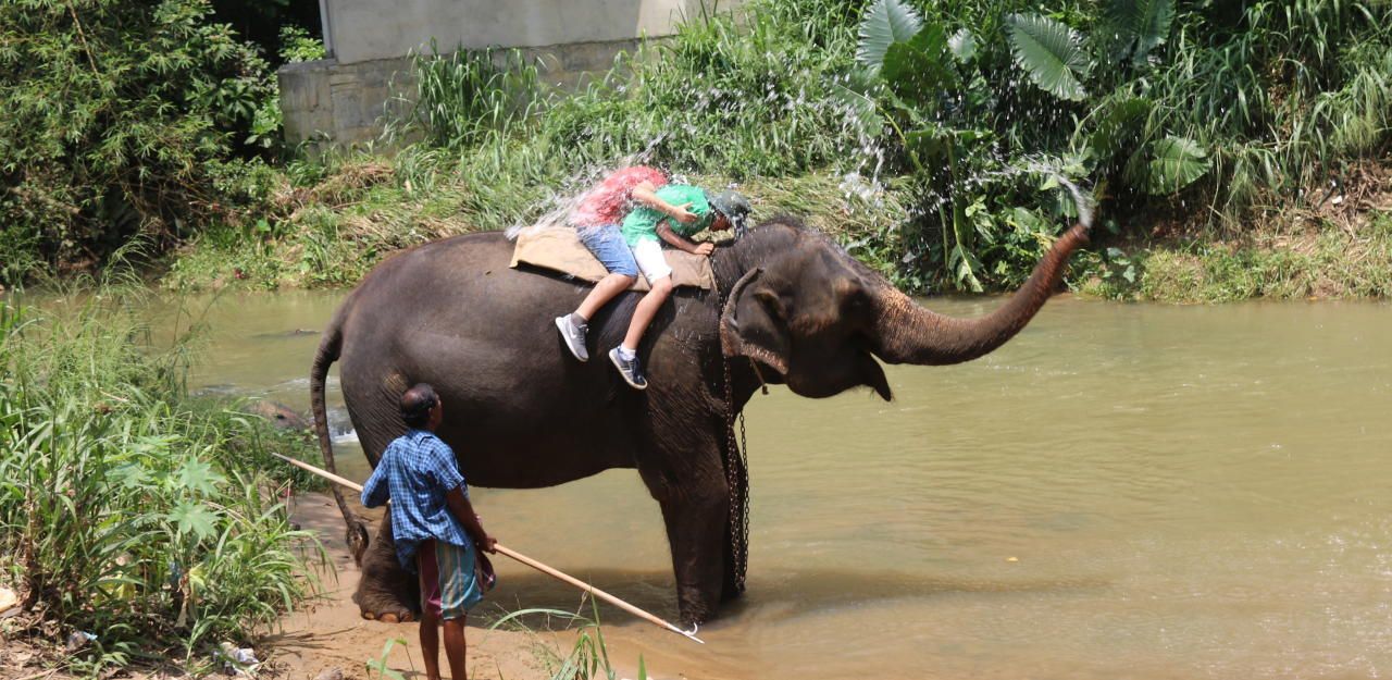 Heute.at - Überraschungsdusche auf Sri Lanka - Teil 2