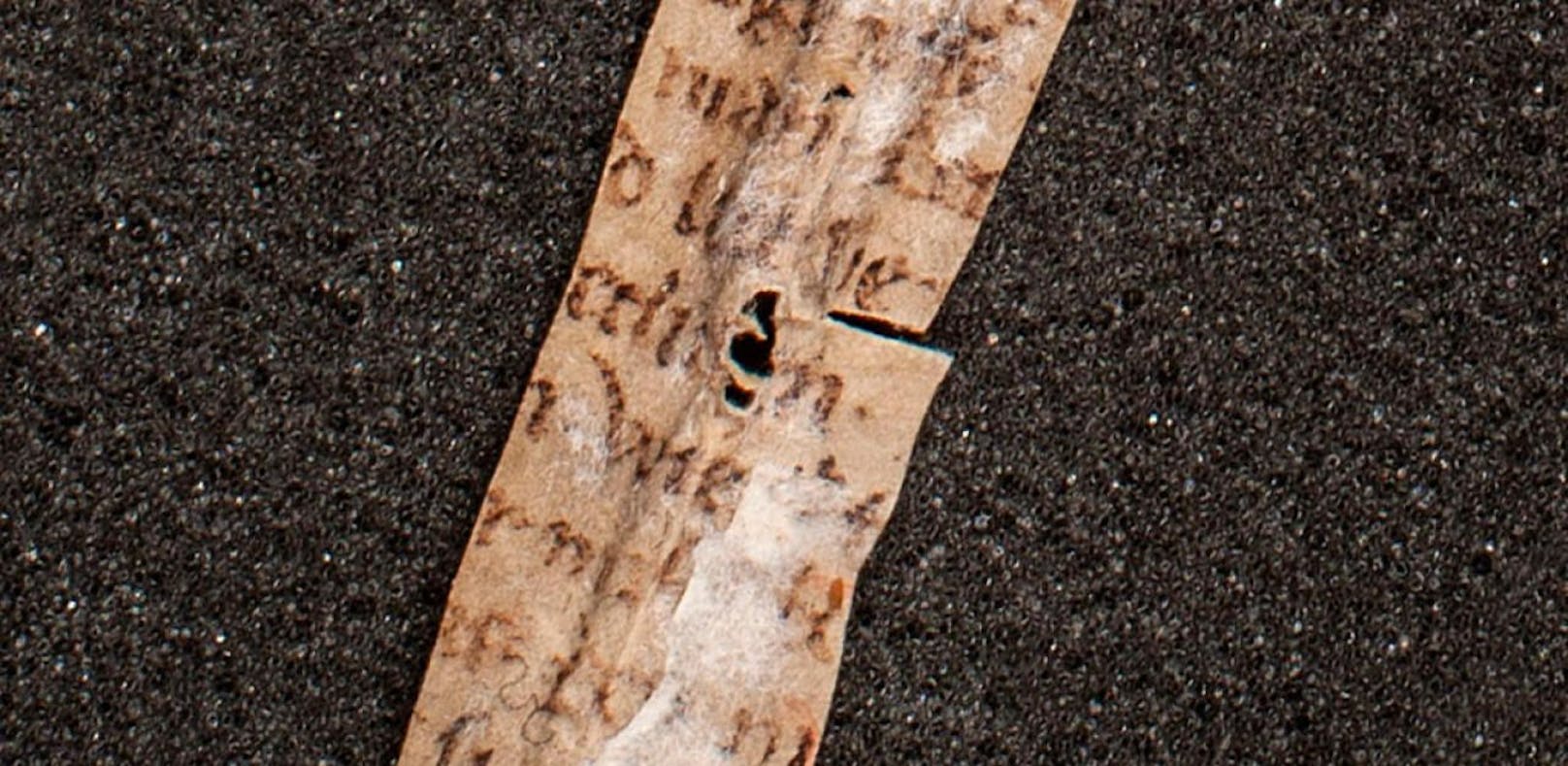 Ein Textfragment aus der Klosterbibliothek des Stift Melk enthält ein &quot;Sex-Gedicht&quot; aus der Zeit um 1300. Es ist damit rund 200 Jahre älter als bisherige bekannte Funde dieser Art.
