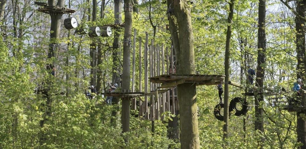 Umfall in einem Kletterpark in der Steiermark. (Symbolfoto)