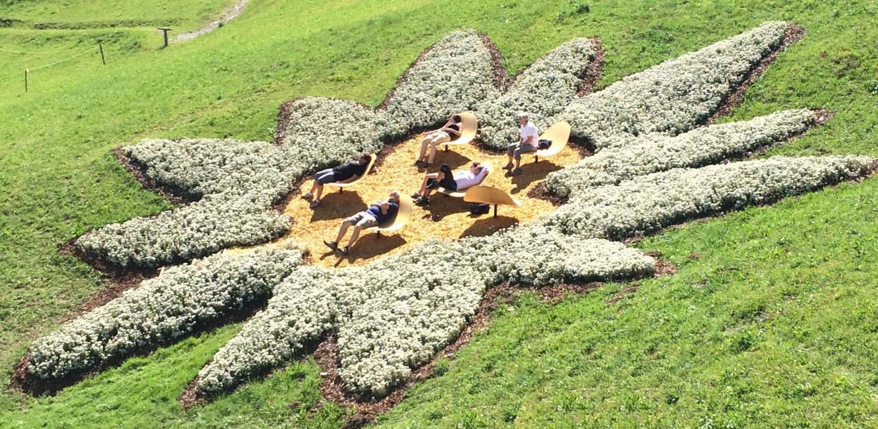 Heute.at - Tiroler wollen mit Edelweiß Rekord brechen
