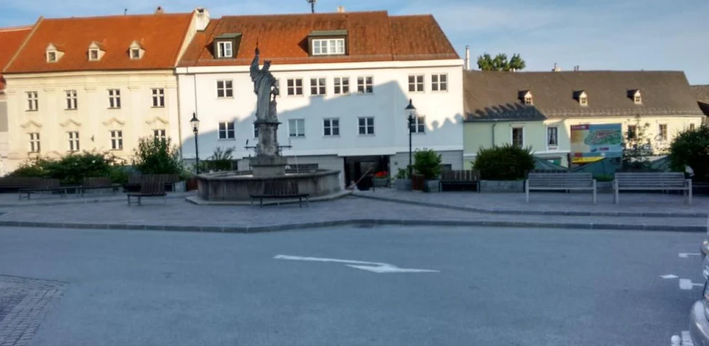 Ein Streit auf dem Hauptplatz eskalierte in Horn.