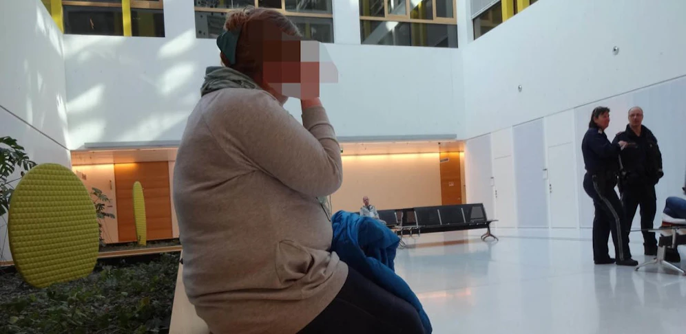 Die Mutter aus NÖ vor Gericht          