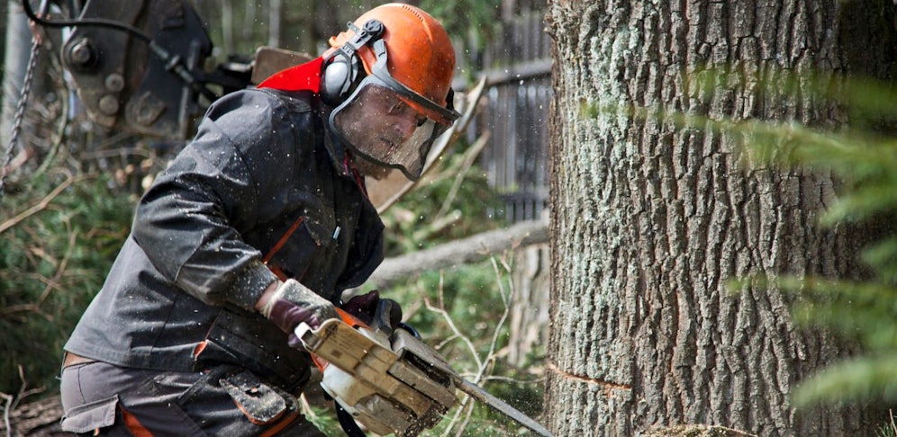 Landwirt bei Forstarbeiten von Baum getroffen. 